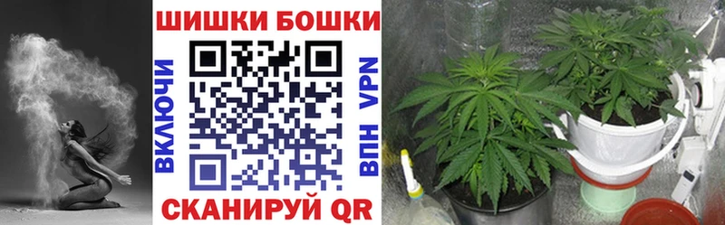 Бошки Шишки гибрид  где продают наркотики  Салаир 